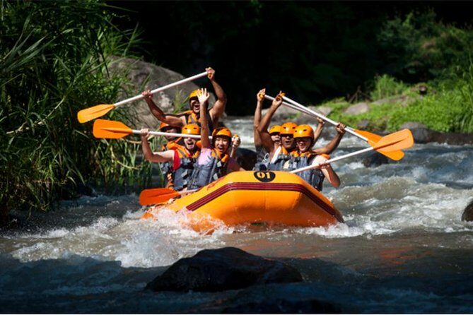 Adventure Rafting Journey With Us! And Ubud Tours - Authentic Insights from Reviewers