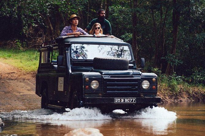 Afternoon Safari to Gal Oya National Park - What to Expect from Your Gal Oya Safari