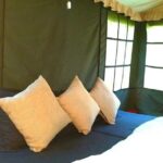 Air-cooled camping in Rishikesh (1n2d) - The Sum Up