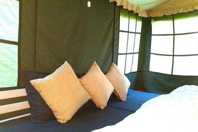 Air-cooled camping in Rishikesh (1n2d) - The Sum Up