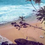 Airport Transfer to Weligama/Mirissa - Why This Transfer Works for Different Types of Travelers