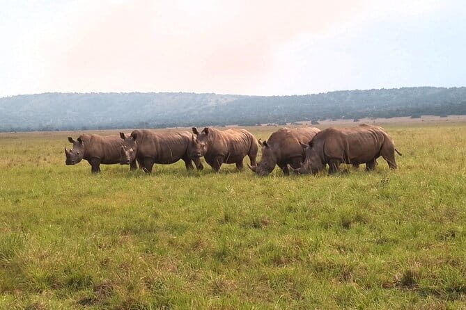 Akagera Safari Ride Share 1 Day Adventure - The Scenic Variety of Akagera