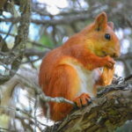 Ala Archa National Park: Scenic Small-Group Tour - Who Should Book This Tour?