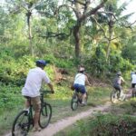 Alappuzha Backwaters & Beaches Bike Tour - The Experience from Past Participants’ Perspective