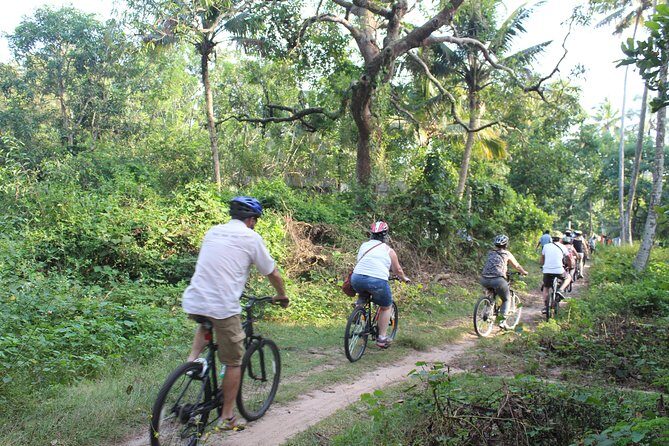 Alappuzha Backwaters & Beaches Bike Tour - The Experience from Past Participants’ Perspective
