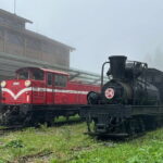Alishan Day Tour from Kaohsiung (Incl. Park Entrance) - The Travel Experience: Comfort, Timing, and Practicalities
