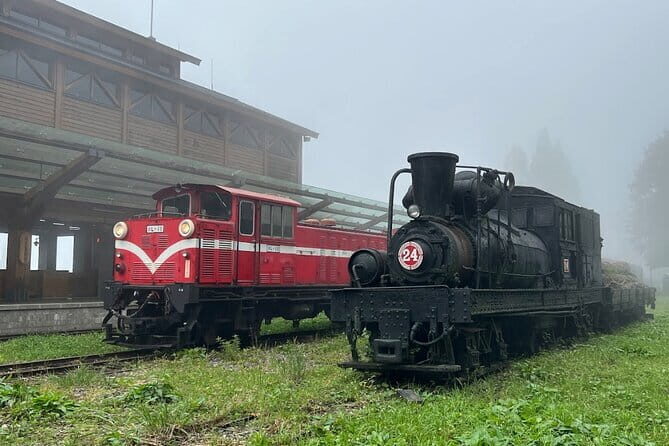 Alishan Day Tour from Kaohsiung (Incl. Park Entrance) - The Travel Experience: Comfort, Timing, and Practicalities