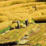All Inclusive 5 Nights Bhutan Tour Package - A Deep Dive into the Bhutan Experience