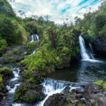 All Inclusive Full Day Tour in Saranda Forest from Kalkota - Practical Details and What to Keep in Mind