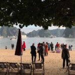 All-Inclusive: Halong Bay Full Day Trip with Ti Top Island, Surprising Cave - Who Should Consider This Tour?