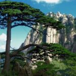 All Inclusive Huangshan Mountain and Hongcun Village Private Efficient Day Tour - What Travelers Say