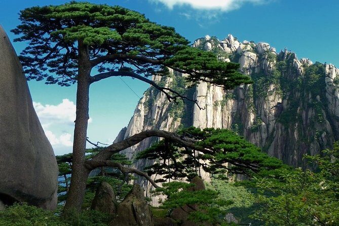 All Inclusive Huangshan Mountain and Hongcun Village Private Efficient Day Tour - What Travelers Say