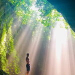 All Inclusive Private Highlight Ubud Waterfalls Tours - The Experience: What You’ll Love and What to Consider