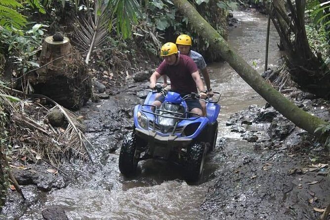 All Inclusive "Ubud ATV Riding,Rice terrace view & Ubud Swing - Introduction: What Makes This Tour Special?