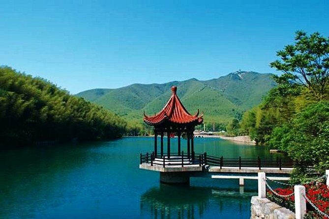All Inclusive Yixing Bamboo Forest Private Day Tour from Shanghai - The Itinerary Breakdown: What to Expect