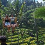 Aloha Swing : Exhilarating The Best Swing Experience in Ubud - The Sum Up