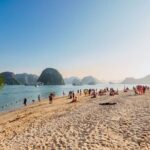 Alova Premium Cruise - Halong Deluxe Day Tour - Cave & Island - Practical Details and What You Need to Know