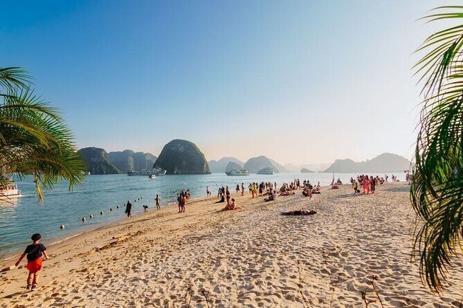 Alova Premium Cruise - Halong Deluxe Day Tour - Cave & Island - Practical Details and What You Need to Know