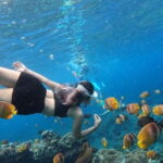 Amazing Cham Island Snorkeling Tour From Hoi An or Da Nang - The Realities of the Experience