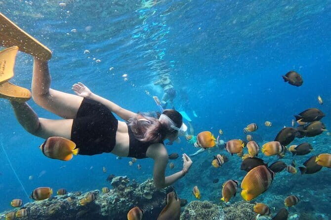 Amazing Cham Island Snorkeling Tour From Hoi An or Da Nang - The Realities of the Experience