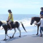 Amazing Private Tour: Horse riding-Kintamani volcano-Tegalalang-Tirta empul - Who Will Love This Tour?