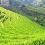 Amazing Sapa Hiking & Sightseeing - What makes this tour stand out?