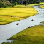 Amazing Trang An Bich Dong Pagoda Day Tour - What’s Included & What to Consider