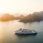 Ambassador 5 Star Cruise Top Halong Bay Day Tour from Hanoi - Who Should Consider This Tour?