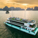 AMETHYST DAY CRUISE - Most Luxury Day Tour from TUAN CHAU HARBOR - Key Points