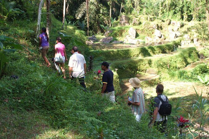 An Eco-Walk through Green Bali - Practical Details and Tips