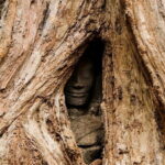 Angkor Wat Big Circuit Digital Audio Guide - Who Should Consider This Tour?