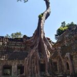 Angkor Wat Fullday Small group tour - What’s Included & What’s Not