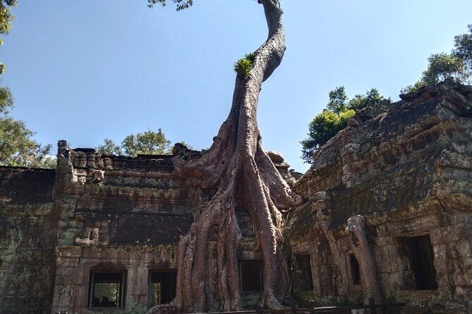 Angkor Wat Fullday Small group tour - What’s Included & What’s Not