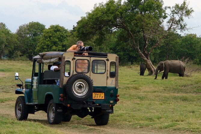 Animal Kingdom - UDAWALAWE Day Tour - What We Like & What to Consider