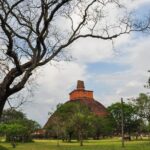 Anuradhapura Buddhist Icons Tour from Kalpitiya - Who Will Love This Tour?