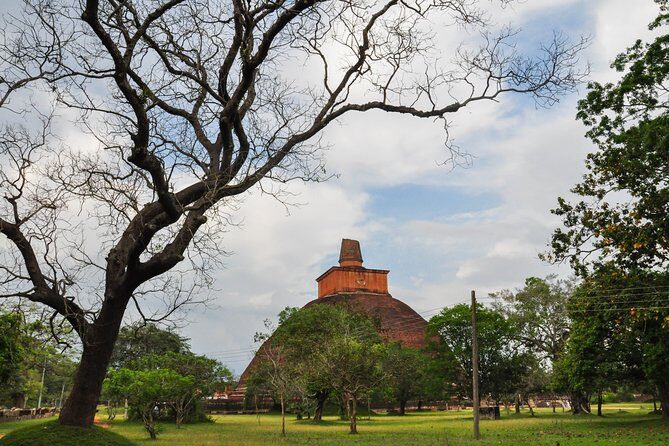 Anuradhapura Buddhist Icons Tour from Kalpitiya - Who Will Love This Tour?