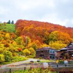 Aomori Private Customizable Full Day Tour - Authentic Experiences as Highlighted by Past Travelers