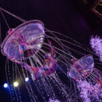 Aqua Circus Show Phuket -The Water Spectacle - The Value of the Experience