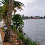 Aqua Tourism With Kerala Seafood Lunch - Who Would Love This Tour?
