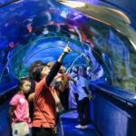 Aquaria KLCC E-Ticket With Transfer - In-Depth Look at the Experience