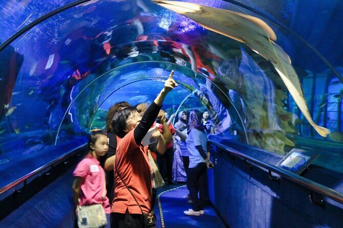 Aquaria KLCC E-Ticket With Transfer - In-Depth Look at the Experience