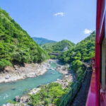 Arashiyama Sagano Romantic TrainFushimi Inari Taisha & Nara Park - Why This Tour Offers Great Value