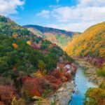 Arashiyama, SanzenIn and Bamboo Forest Day Tour from Kyoto/Osaka - Practical Tips