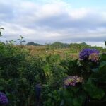 Around Bromo Farming Experience - The Sum Up