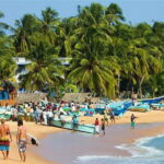 Arugam Bay Hotels To Airport Transfer (CMB)-Departure - Who Is This Transfer Best For?