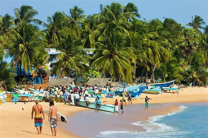 Arugam Bay Hotels To Airport Transfer (CMB)-Departure - Who Is This Transfer Best For?