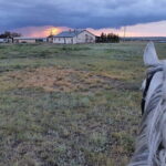 Astana Unbridled: Seven Days of Culture and Adventure - The Sum Up