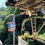 Atami Half-Day Private Tour with Government-Licensed Guide - A Deep Dive into the Atami Half-Day Private Tour
