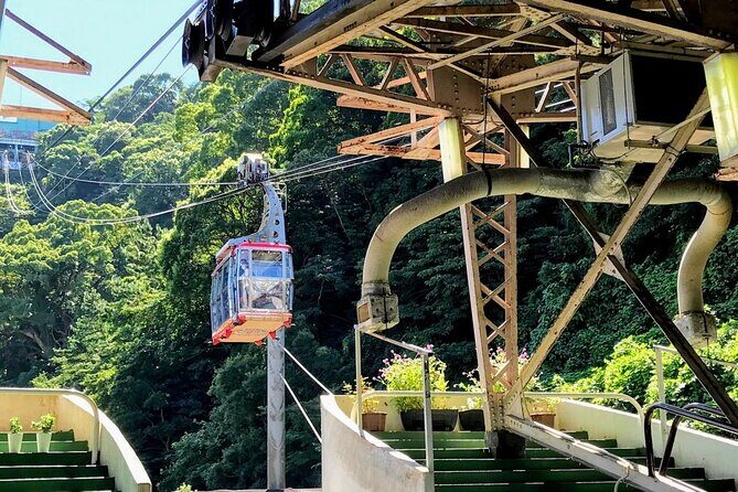 Atami Half-Day Private Tour with Government-Licensed Guide - A Deep Dive into the Atami Half-Day Private Tour