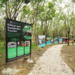 ATV Adventure: Khao Laks Best Off-Road Experience - Who Will Love This Tour?